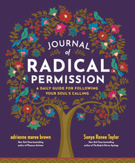 Journal of Radical Permission Book Cover