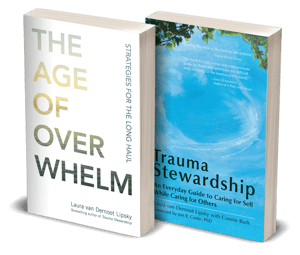 age-of-overwhelm+trauma-stewardship-3d-left-586x500