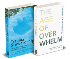 age-of-overwhelm+trauma-stewardship-3d-right-586x500