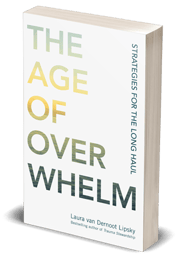 the-age-of-overwhelm-3d-left-300x432
