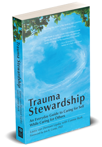 trauma stewardship