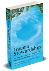 trauma-stewardship-3d-right-200x288