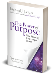 Power-of-purpose3D-cover-mockup.png
