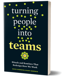 Turning-People-Into-Team_3dbookcover