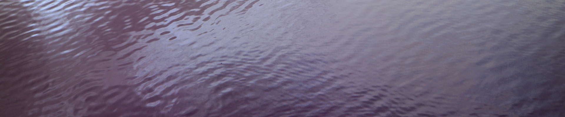 water-purple-banner_1920x400